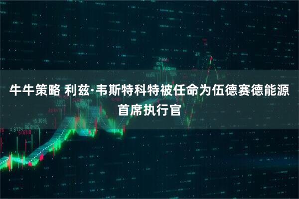 牛牛策略 利兹·韦斯特科特被任命为伍德赛德能源首席执行官