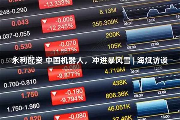 永利配资 中国机器人，冲进暴风雪 | 海斌访谈